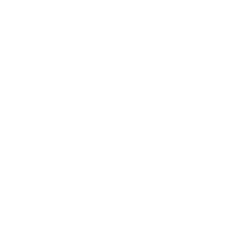 whatsapp Icon